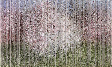 Mural Bloom 35 0523 05 Canvas