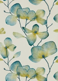 Tapeta Momentum 5 111957