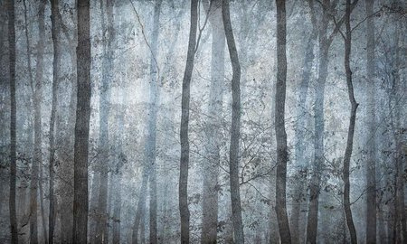 Mural Shadow 35 0439 07 Fizelina