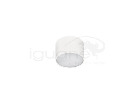 Lampa MONZA R 8 3000K biała