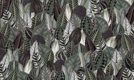 Mural Botanica 35 0504 01 Flizelina