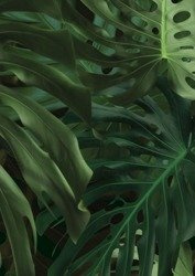 Mural Monstera Leaves WP-500