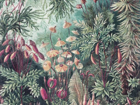 Mural Fairytale winyl 