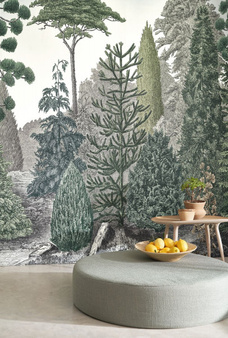 Mural Pinede 87457206