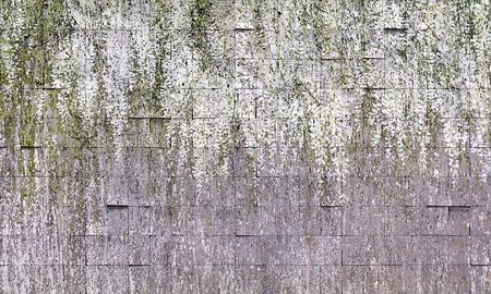 Mural Allure 35 0796 07 flizelina