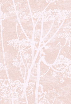 Tapeta Cow Parsley 112/8028