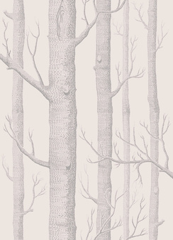 Tapeta Woods 112/3011