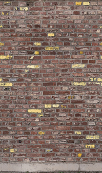 Mural 47255