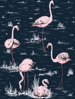 Tapeta Flamingos 112/11041