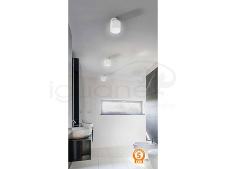 Lampa LIR