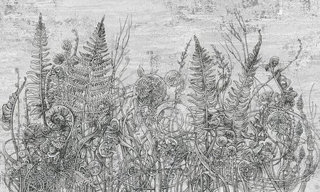 Mural Tillia 35 0924 01  flizelina