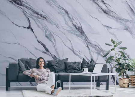 Mural Silvering winyl 