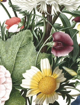 Mural Wild Flowers CK-062