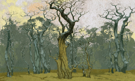 Mural Fangorn 35 0558 08 Winyl