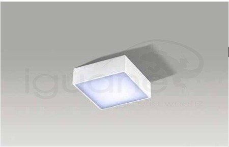 Plafon Falco 12 3000K biały