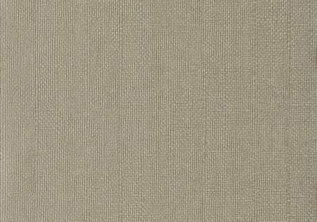 Tapeta Willow 1703-115-04