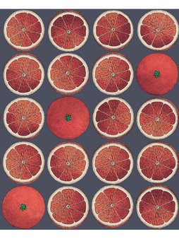 Tapeta Fornasetti Arance 114/24046