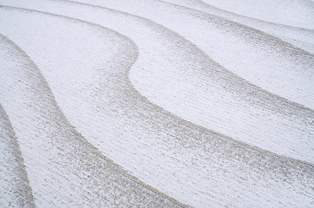 Dywan Sabbia Beige 160x230