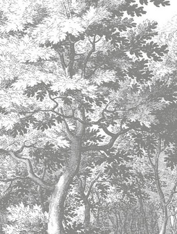 Mural Engraved Landscapes BP-030