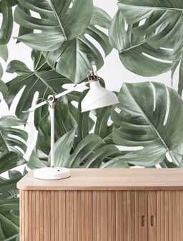 Mural Botanical Monstera WP-584