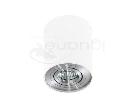 Lampa BROSS 1 plafon biała-aluminium
