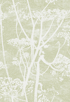 Tapeta Cow Parsley 112/8029