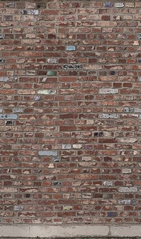 Mural 47254