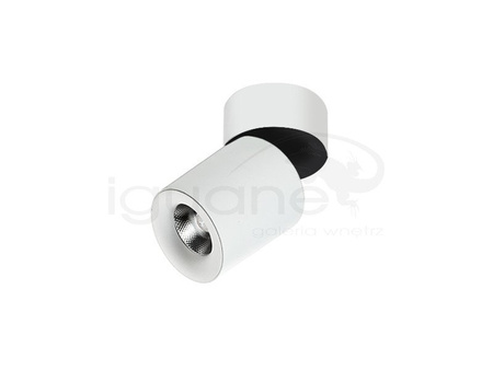 Lampa SIENA 10 W 3000K biała