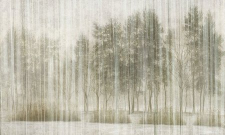 Mural Sherwood 35 0462 06  flizelina