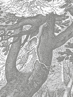 Mural Engraved Landscapes CK-044