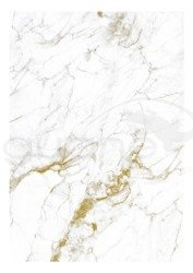 Mural Marble White-gold WP-554