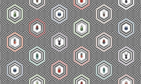 Mural Coleoptera 35 0505 02 flizelina