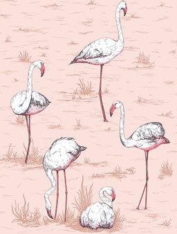 Tapeta Flamingos 112/11039