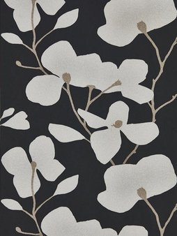 Tapeta Momentum 5 111973