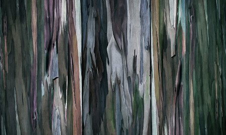 Mural Valentina 35 0775 18 flizelina