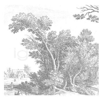 Mural Engraved Landscapes WP-321