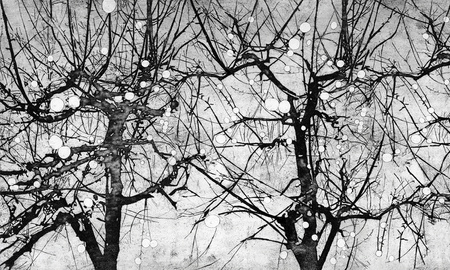 Mural Vibrant 35 0553 01  Winyl