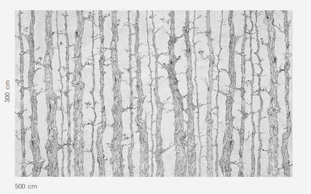 Mural Planty 35 0117 02 Flizelina