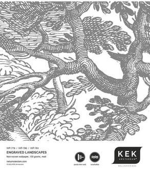 Mural Engraved Landscape WP-780