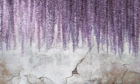 Mural Wisteria 35 0745 07 flizelina