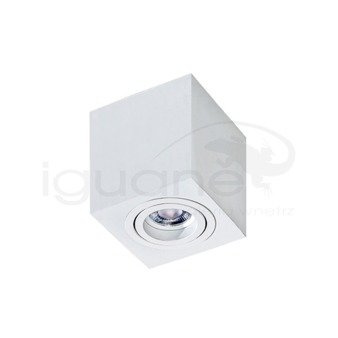 Plafon Brant Square biały