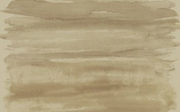 Tapeta Carl Robinson 14 CR61207