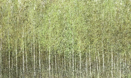 Mural Euporie 35 0544 04 Winyl