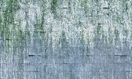 Mural Allure 35 0796 03 flizelina