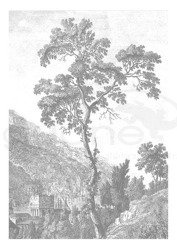 Mural Engraved Landscapes  WP-312