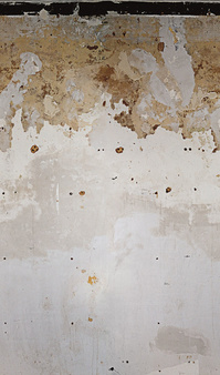 Mural 47226