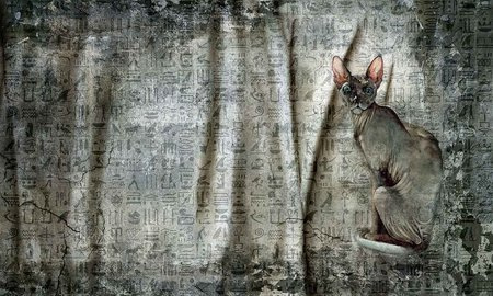 Mural Raquel 35 0452 04 Flizelina