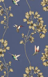 Tapeta Amazilia 111059