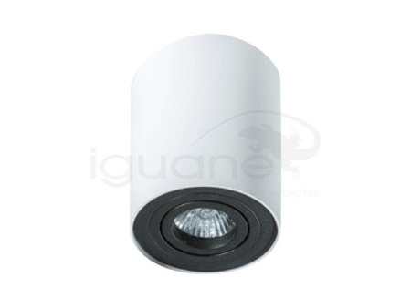 Lampa BROSS 1 plafon biała-czarna