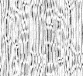 Tapeta Monochrome 54041